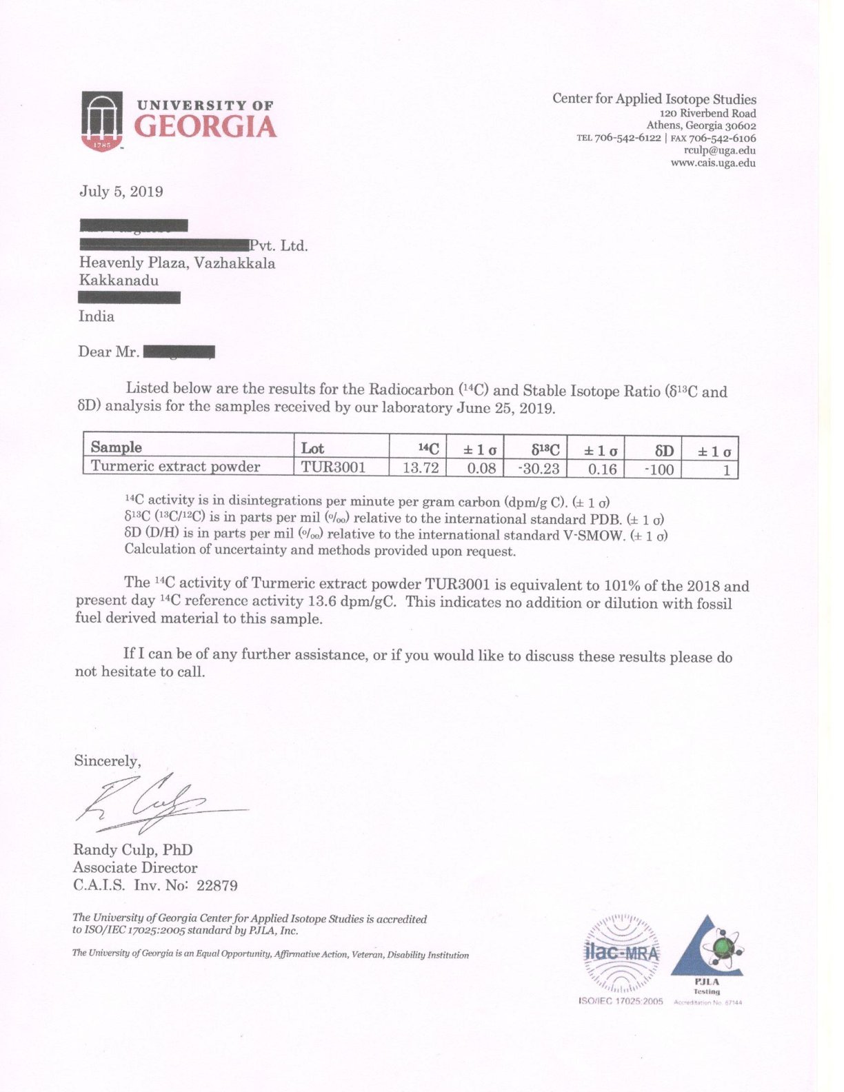 curcumin caps lab report